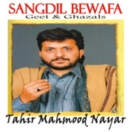 Sangdil Bewafa CD