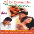 Yeh Dil Diwana Hua CD