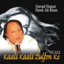 Kaali Kaali Zulfon Ke (Vol. 222) CD
