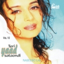 Teri Yaad Satondi (Vol. 10) CD