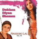 Dukhan Diyan Shaman (Vol 14) CD