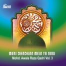 Meri Dhadkan Mein Ya Nabi (Vol. 3) CD