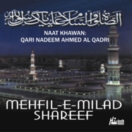 Mehfil E Milad Shareef CD