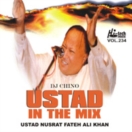 Ustad In The Mix CD