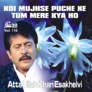 Koi Mujhse Puche Ke Tum Mere Kya Ho (Vol. 116) CD