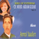 Anmol Yaadien (Vol. 13) CD