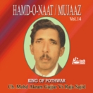 Hamd O Naat/Mujaaz (Vol.14) CD