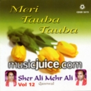 Meri Tauba Tauba (Vol. 12) CD