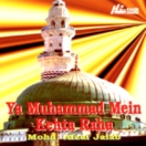 Ya Muhammad Mein Kehta Raha CD