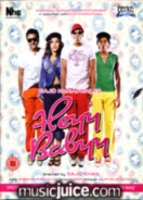 Heyy Babyy DVD