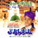 Zikar Nabi Da Karde Rehna (Vol.2) CD