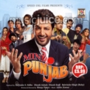 Mini Punjab CD