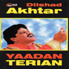 Yaadan Terian - Dilshad Akhtar CD