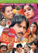 Zidi Raja (2010) DVD