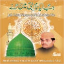Jab Liya Naam-e Nabi Mein Ne CD