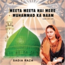 Meeta Meeta Hai Mere Muhammad Ka Naam CD
