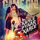 Karle Pyaar Karle CD