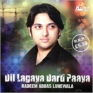 Dil Lagaya Dard Paaya CD