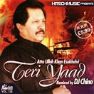 Teri Yaad (Remix) CD